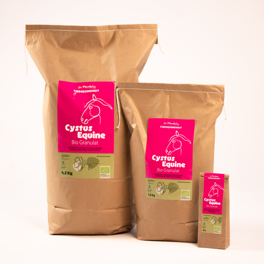 Cystus Equine - Bio Granulat für Pferde - 100% Cistus incanus